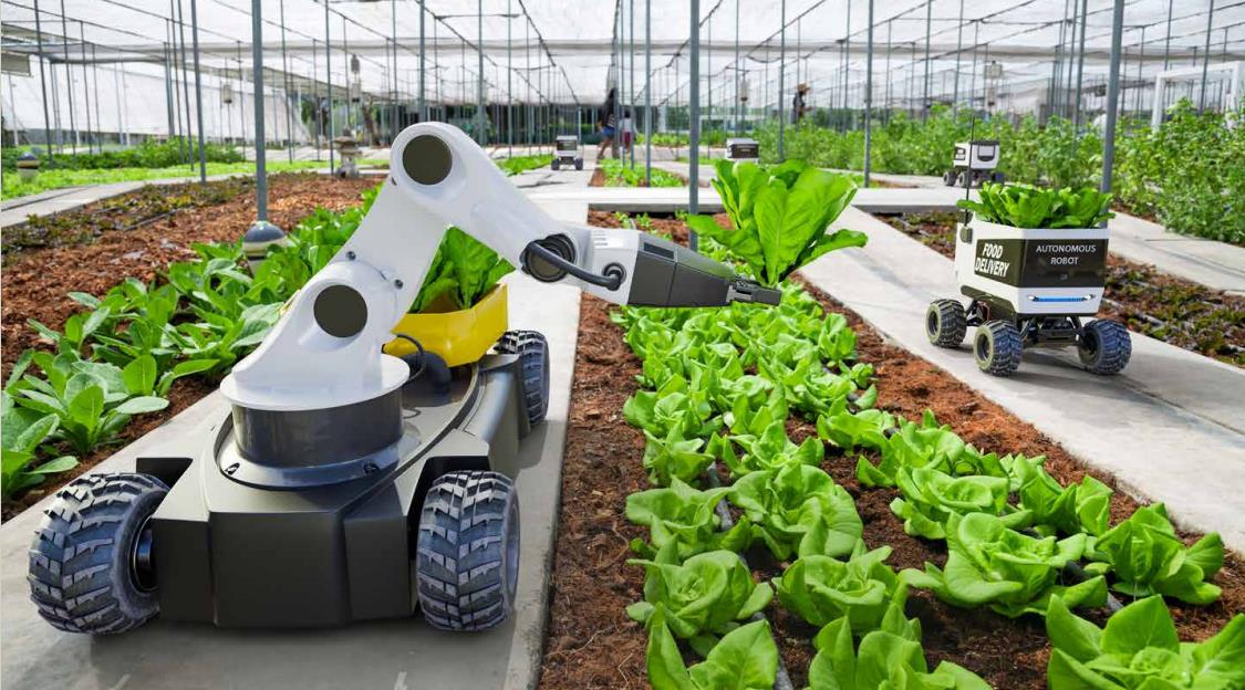 1709520333492784.jpg 360截图20240304103346354.jpg